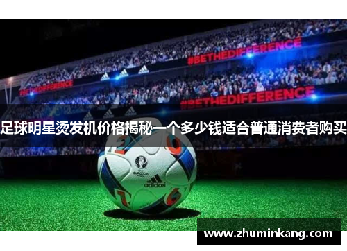 足球明星烫发机价格揭秘一个多少钱适合普通消费者购买
