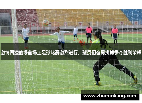 激情四溢的绿茵场上足球比赛激烈进行，球员们奋勇拼搏争夺胜利荣耀
